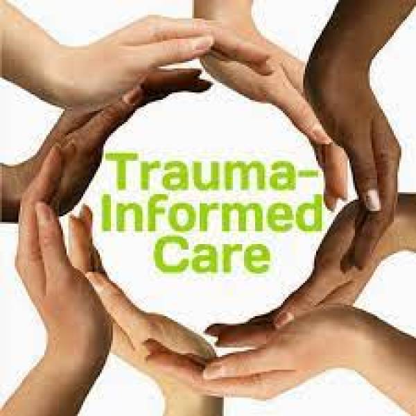 Free Trauma Informed Training for Schools
