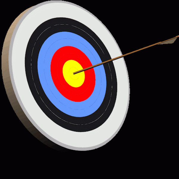 Primary Inclusion Archery 2022